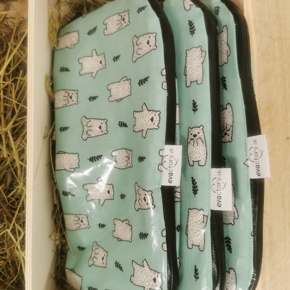 Schirmsäckli Bär