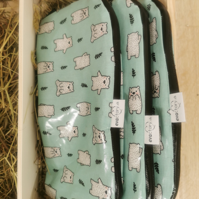 Schirmsäckli Bär