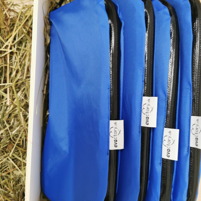 Schirmsäckli blau