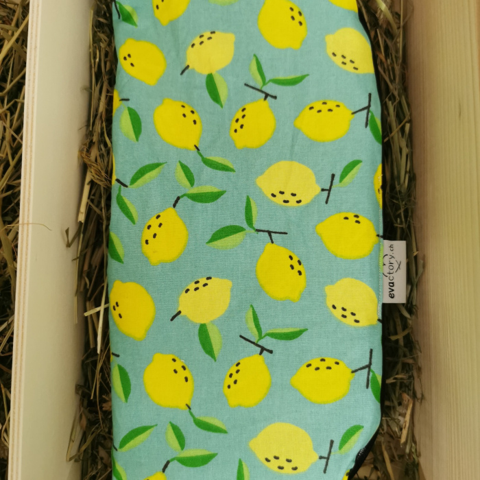 Schirmsäckli Zitrone